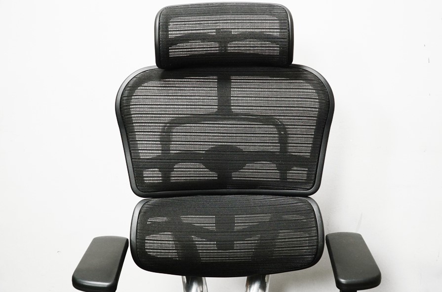 Ergohuman Pro(エルゴヒューマンプロ) デスクチェア ヘッドレスト ハイバック