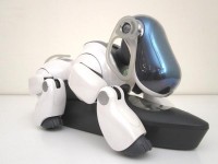 artandzen-img400x598-1316757307ecqt7s1026