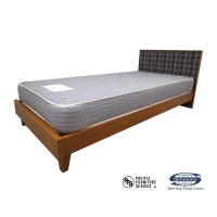 pfs bed1