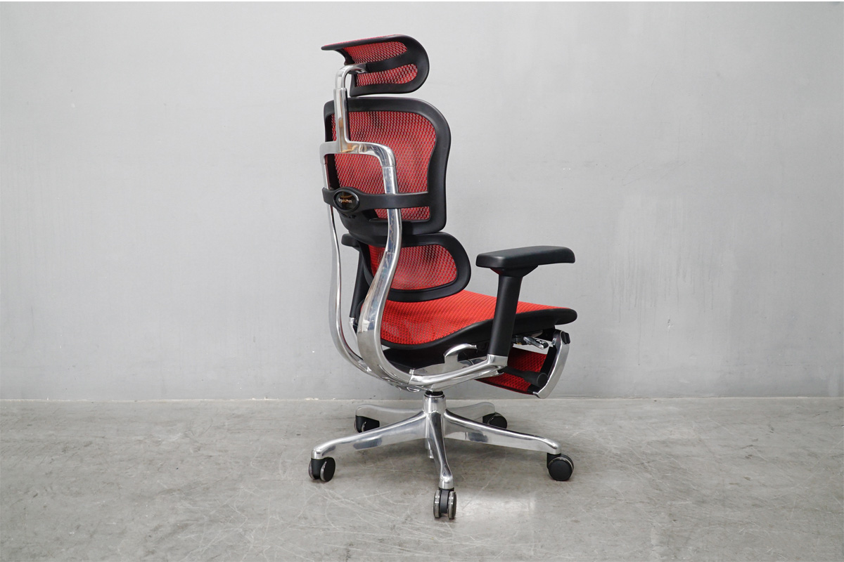 Ergohuman Pro2 Ottoman (エルゴヒューマンプロ2 オットマン)　背面